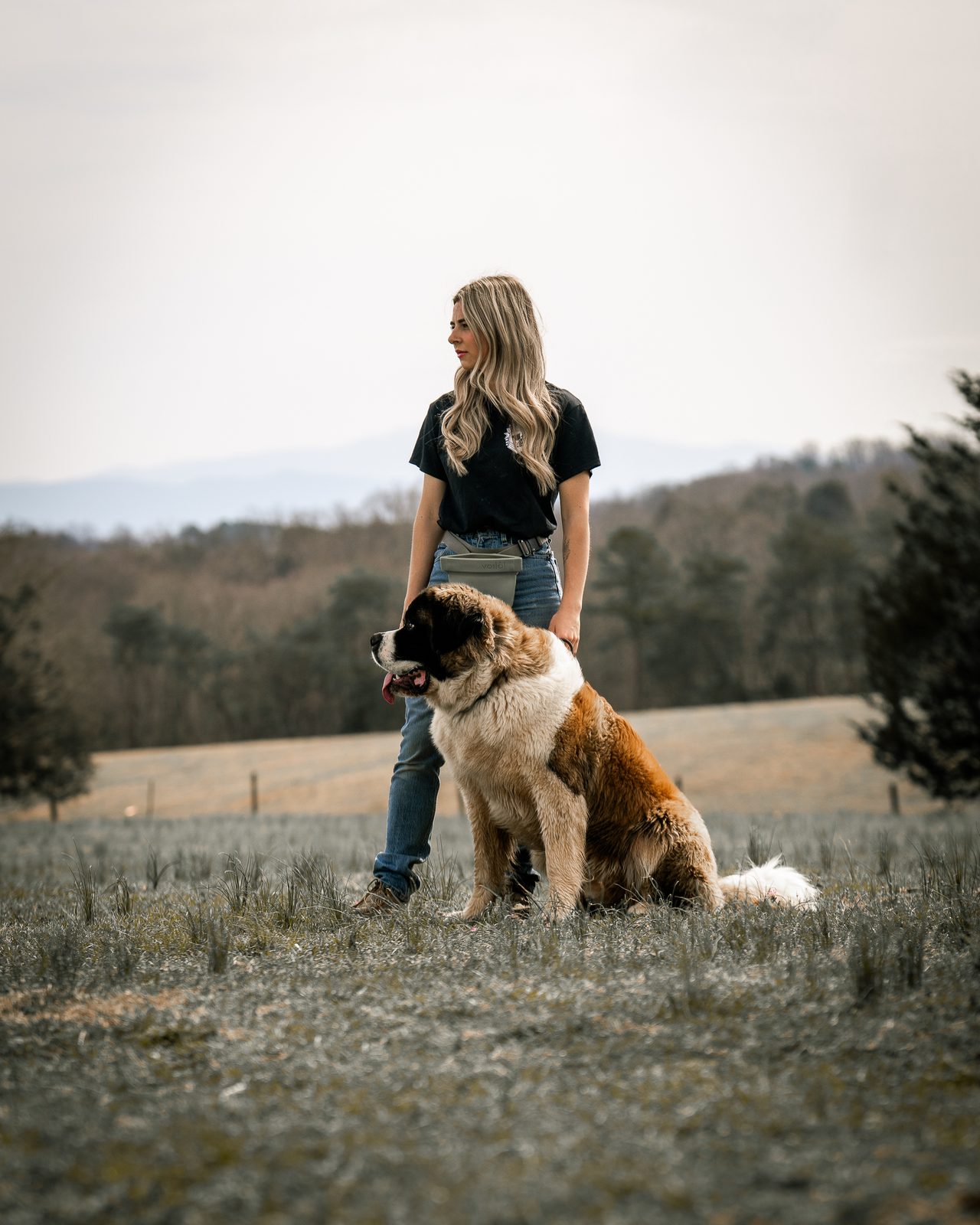 A trainer glancing aside as a Saint Bernard sits beside her in a field